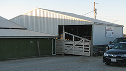 Auction Barn
